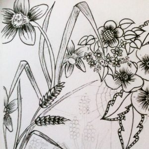 drawing nature flowers drawing nature flowers