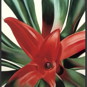 Make Your Mark: Vibrant Blooms