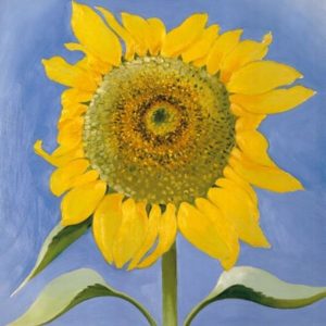 Make Your Mark: Sunflower Blooms
