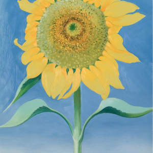 Make Your Mark: Georgia O'Keeffe's Sunflower, New Mexico